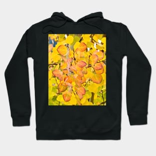 Fall Aspen Leaves Hoodie